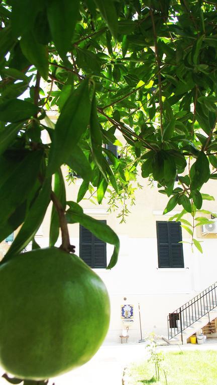 Aristocarli Bed and Breakfast Ρώμη Εξωτερικό φωτογραφία